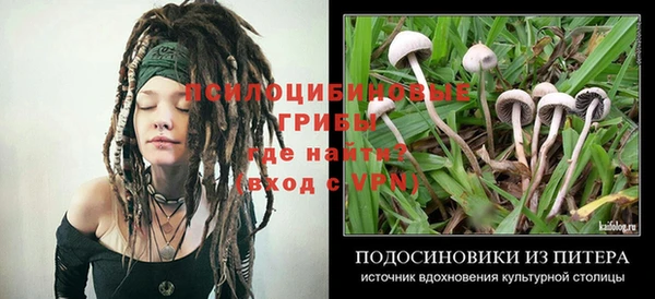 ECSTASY Арсеньев