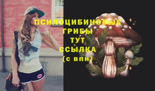 ECSTASY Арсеньев