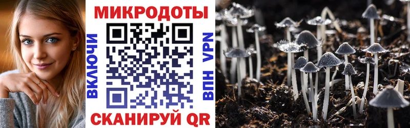 Галлюциногенные грибы MAGIC MUSHROOMS Качканар
