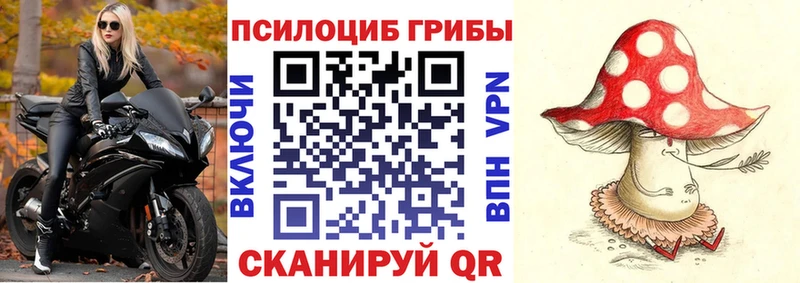 цена наркотик Качканар Псилоцибиновые грибы Cubensis