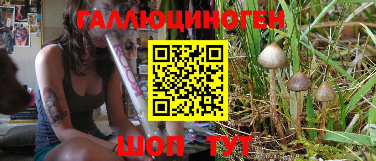 Качканар  Галлюциногенные грибы MAGIC MUSHROOMS  Вход с VPN 