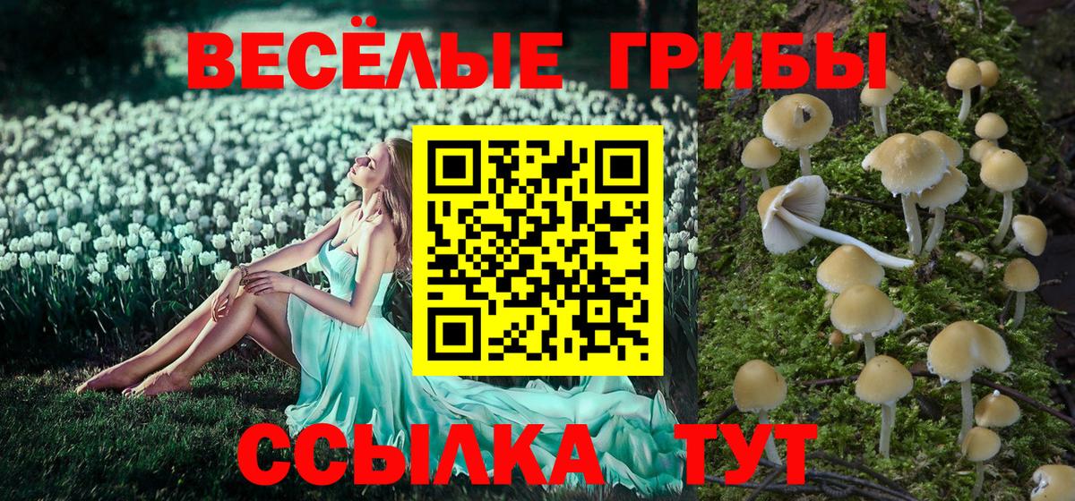 Галлюциногенные грибы GOLDEN TEACHER Качканар